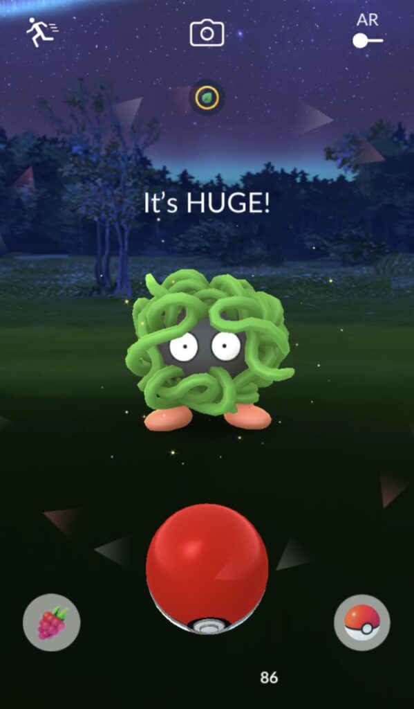 Huge shiny 🥳🥳🥳🥳