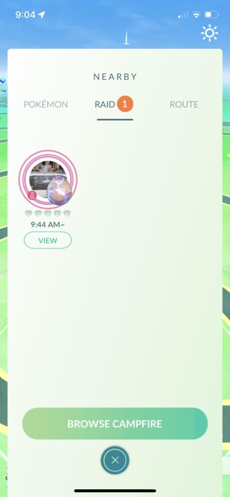 What Pokémon is this for?