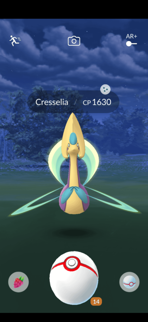 I've never had such luck before! What do I do with it?!