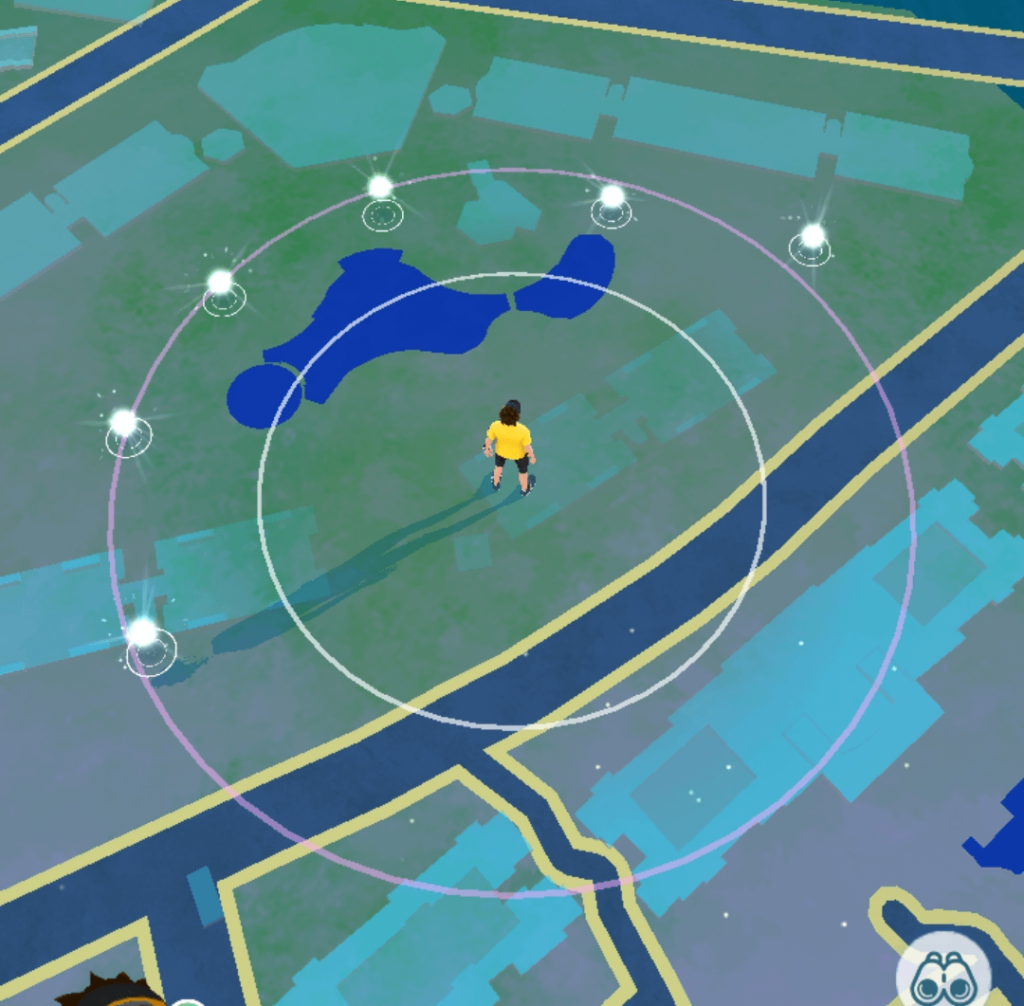 What are those white shiny spots?