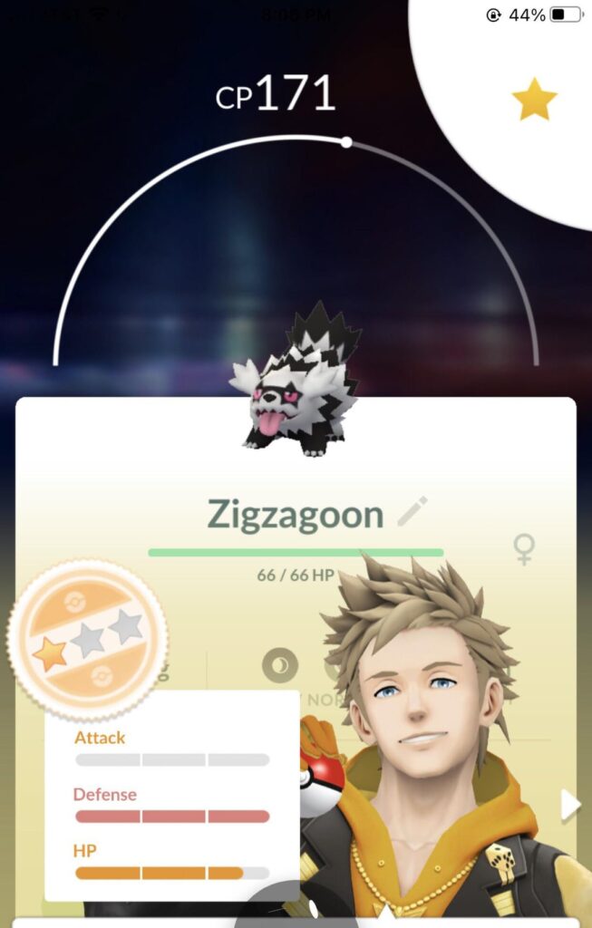 Found he best Galarian Zigzagoon today
