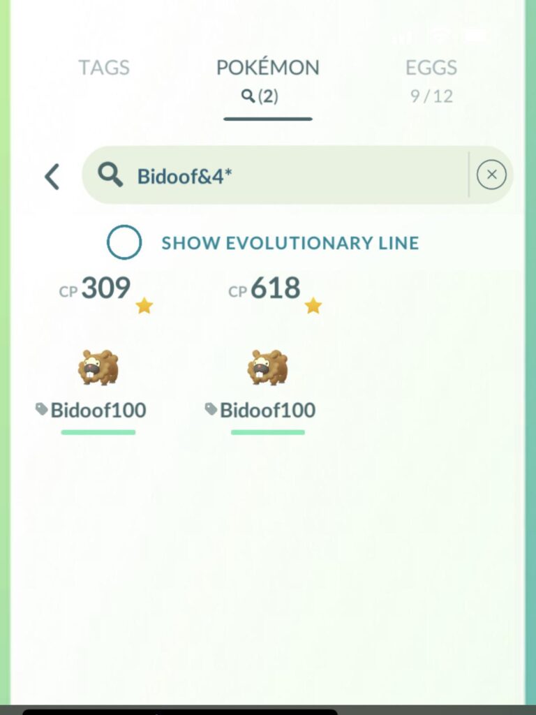 To everyone who likes Bidoof.