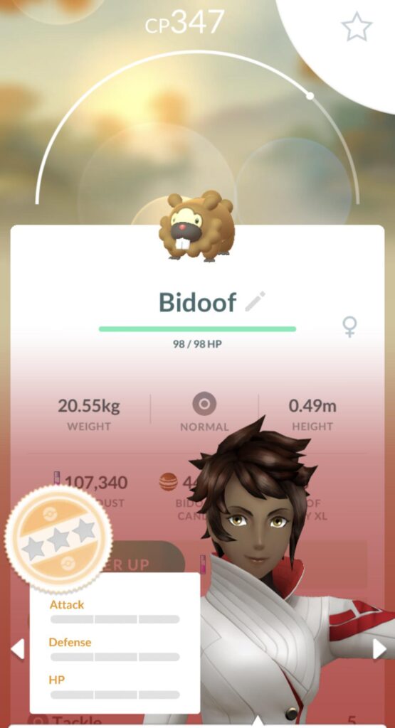 nundo bidoof yay