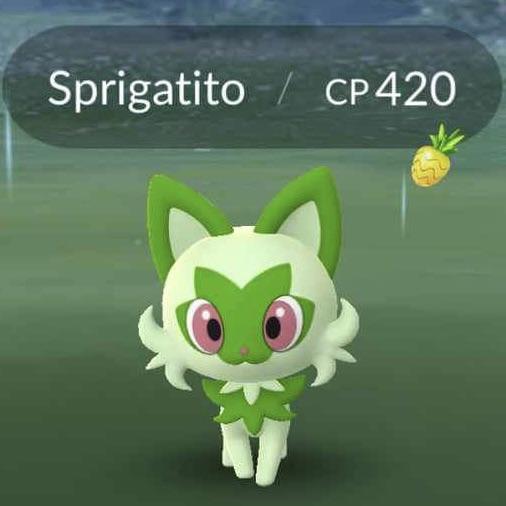 Numerically-appropriate Weed Cat
