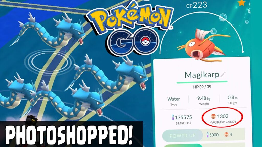 Pokemon GO | HIGHEST CP 223 MAGIKARP EVOLUTION TO GYRADOS! 1300 Magikarp Candies! 4 Magikarp Evolve