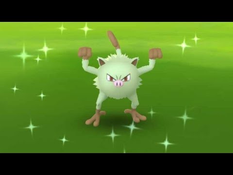 Mankey Spotlight Hour - Live - Shiny Hunt! [Pokemon GO]