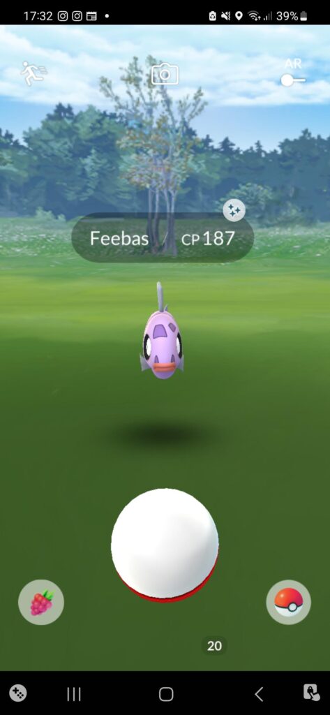 Look at this beauty!
