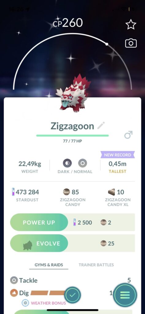 The first pokemon in the wild after i finished catching the suicune/entei/raikou on raids. Looks so cool, insta evolved it