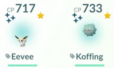 A beautiful haul of two shiny's while sitting at home in one day
