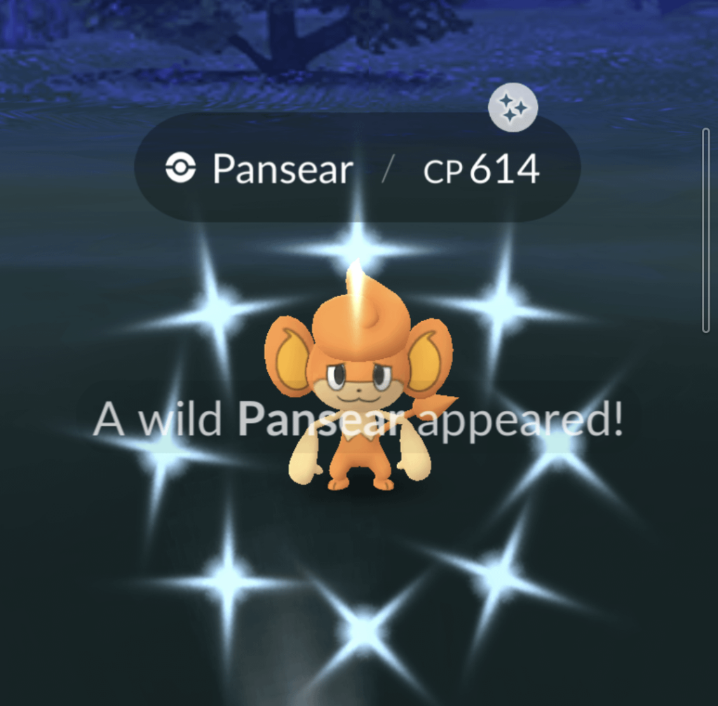 Didn't know this exists...