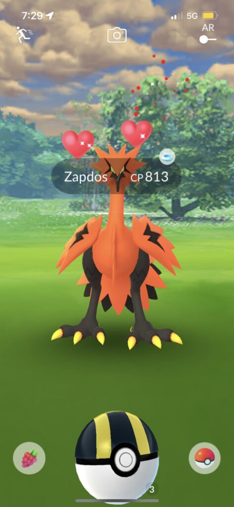 How do i catch a galarian bird