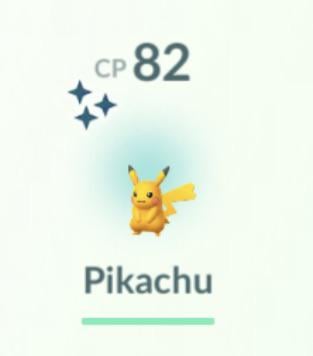 Found this guy this morning