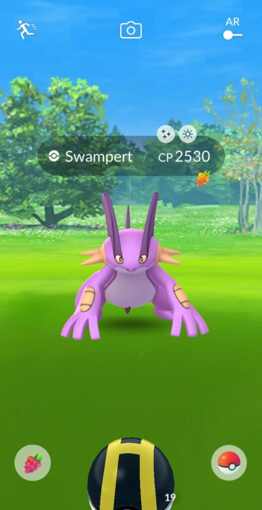 Caught this while on a walk
