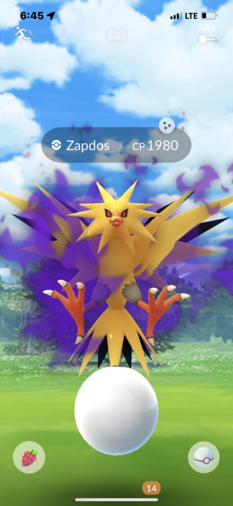 So happy 😁 shiny shadow team bird ✅