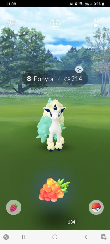 Shinnyyyyyyyy ponyyyyyyy!!!!