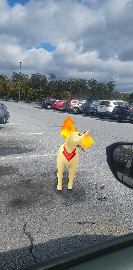 Whats wrong with my ponyta?