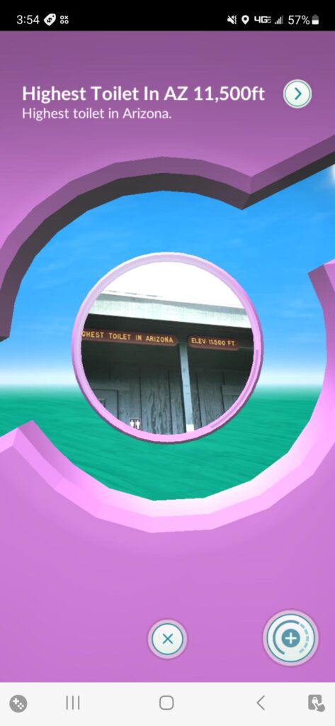 Which Pokemon is worthy of being placed in this Gym?