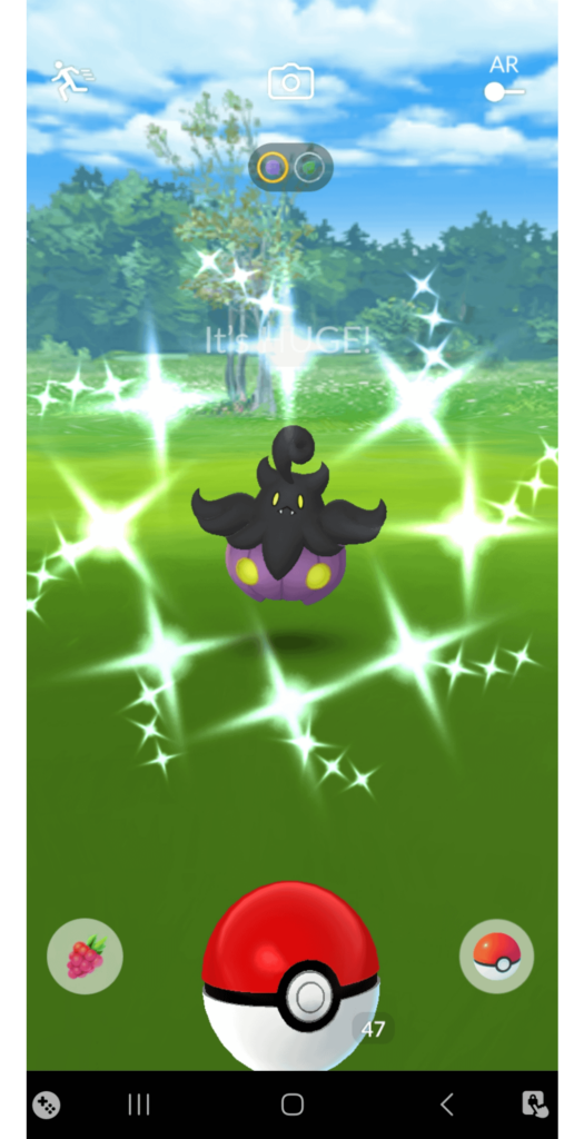 A nice birthday present from Pokemon Go, I guess 😍 just caught a few minutes ago from the research!!