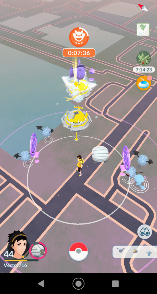 Am I playing Pokemon Go or am I playing Minecraft?