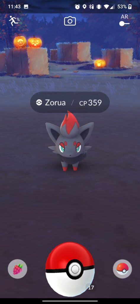 Just got this from this from the wild and my buddy was not a zorua?