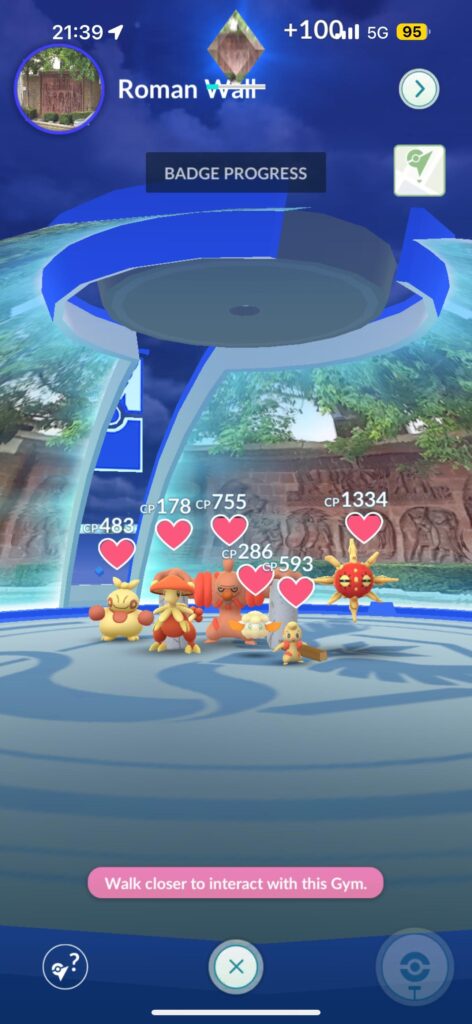 Autumnal shiny colour palette gym