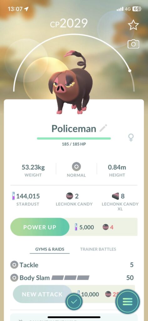 Is this a fitting name?