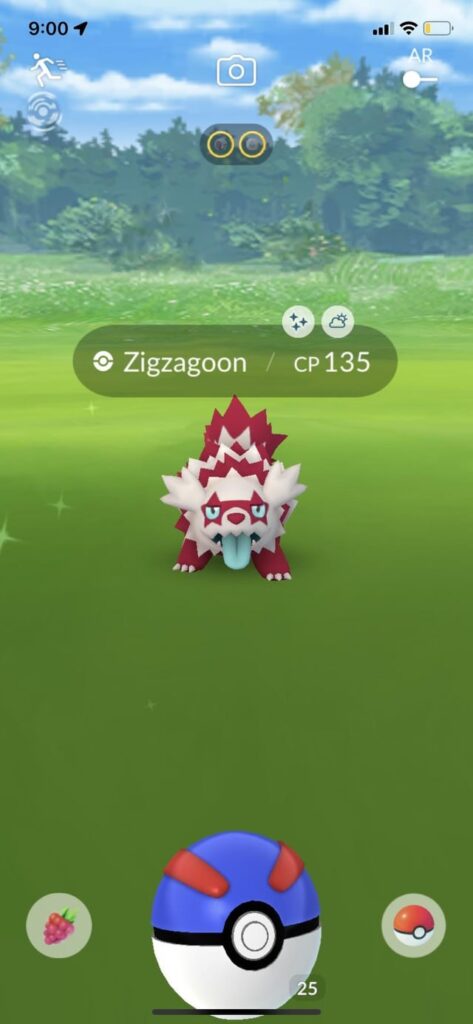 Anybody else just casually open shinys at their house?