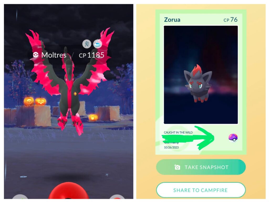Zorua Masterball'ed