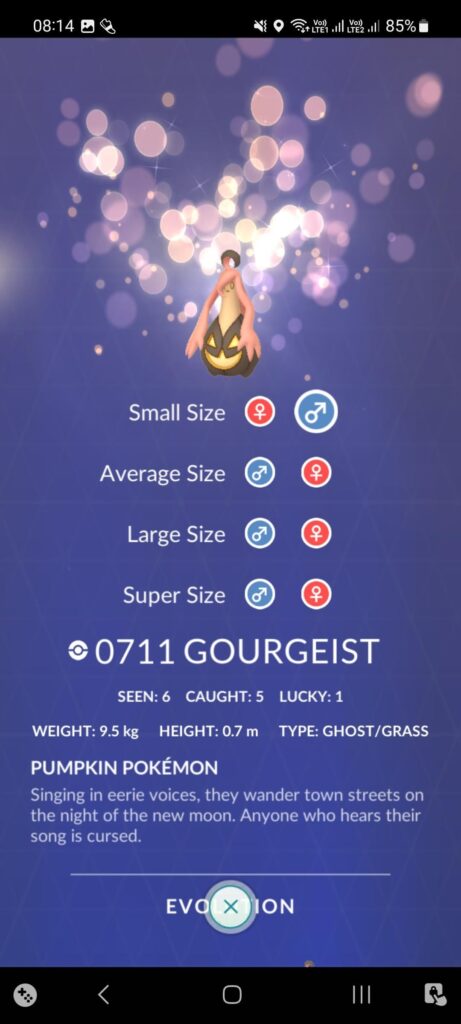 Is there some kind of bugs during gourgeist & pumpkaboo display sizes and gender ?