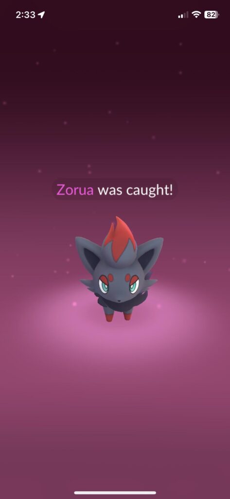 Dear Zorua, Please stop