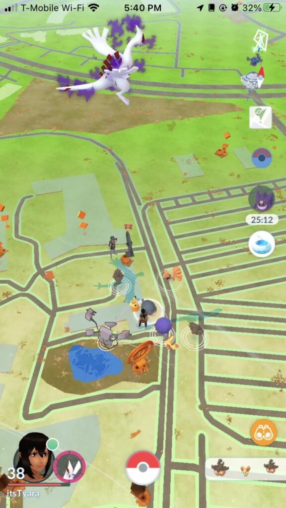 What other buddy Pokémon can fly?!?