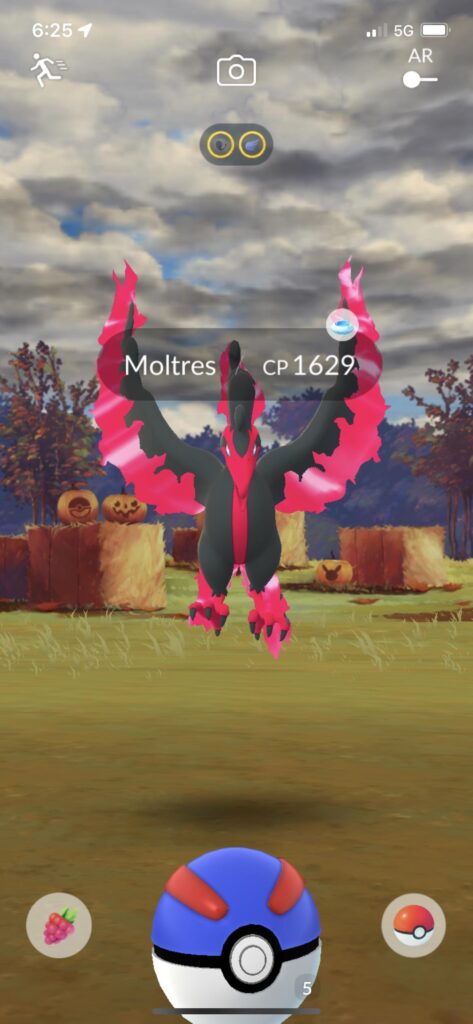 This is the third time I’ve come across this bird. Why can’t I catch it?