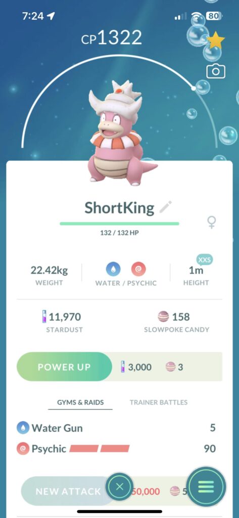 What a cute little guy