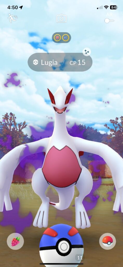 Omg a Shadow Lugia in the wild! What are the chances /s