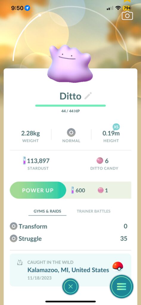 Dreams do come true