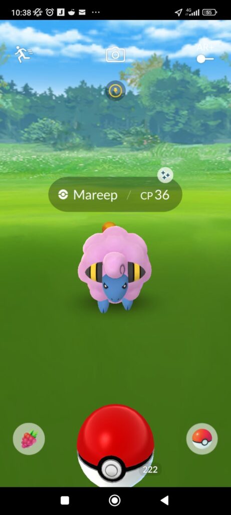 I ran into an angry pink sheep