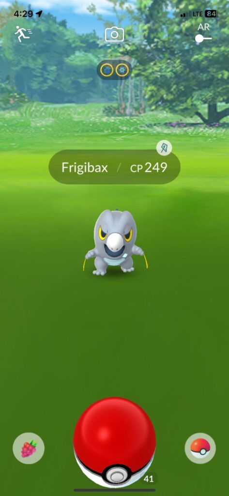 Is this rare to find in the wild? I’ve never encountered one in the wild before