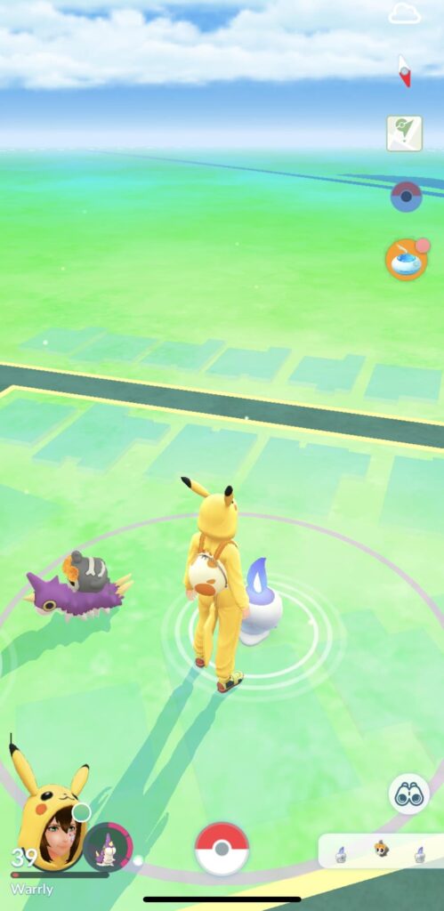 Buddy Wurmple has Duskull riding on its back?