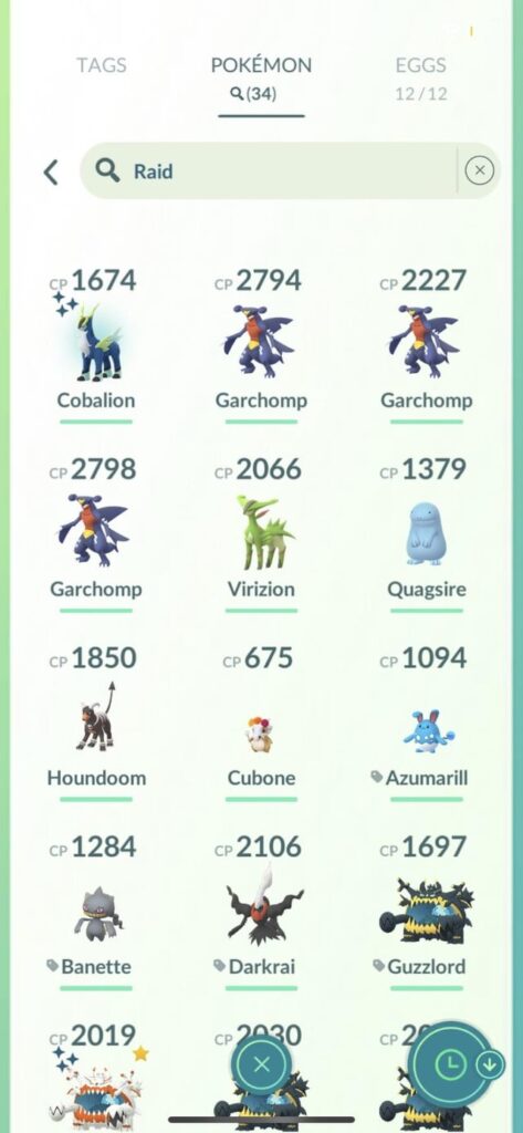 My first cobalion raid is a shiny 💀