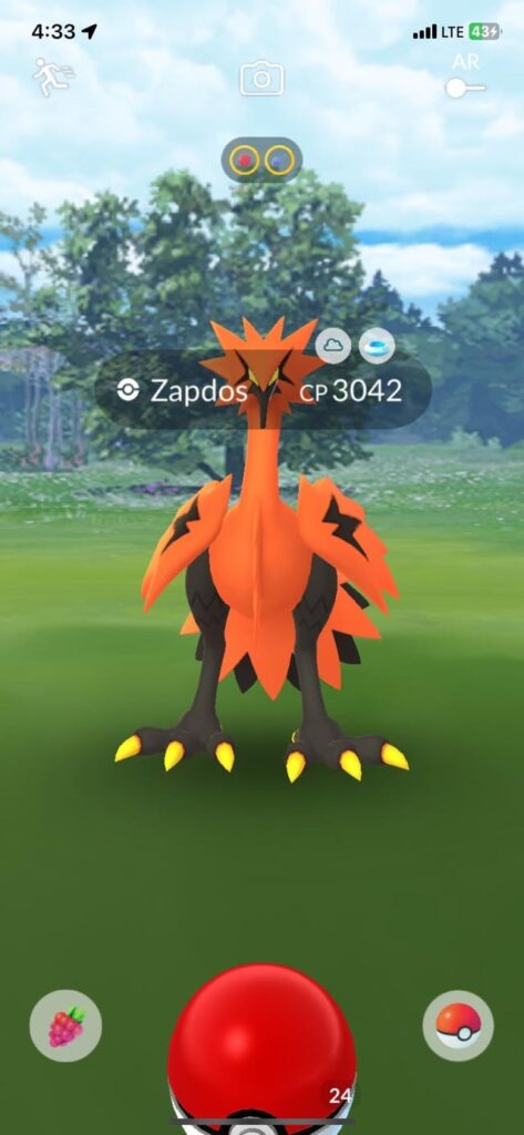 First Galar Bird