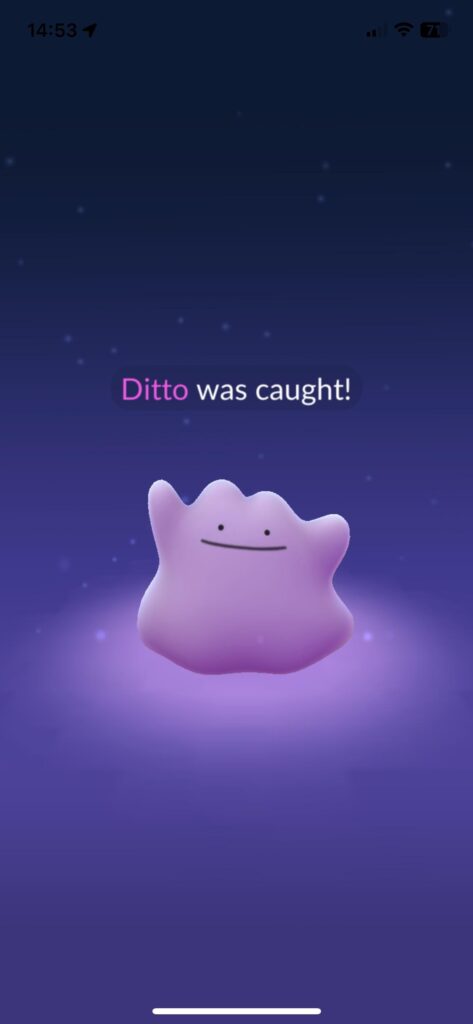 Omg! Finally! It was a Digglet with a hat.