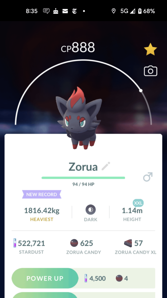 XXL indeed, that's a huge Zorua