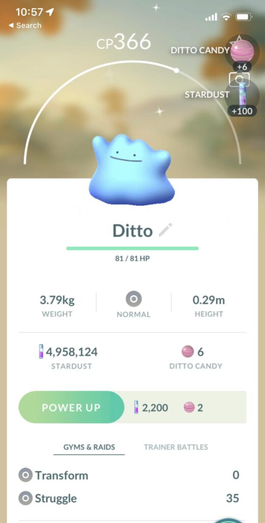 Shiny Ditto exist during event