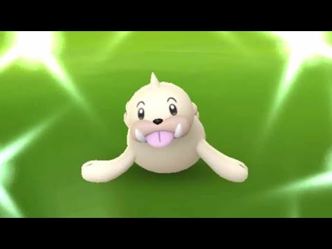 Seel Spotlight Hour - Shiny Hunt [Live] - Pokemon GO