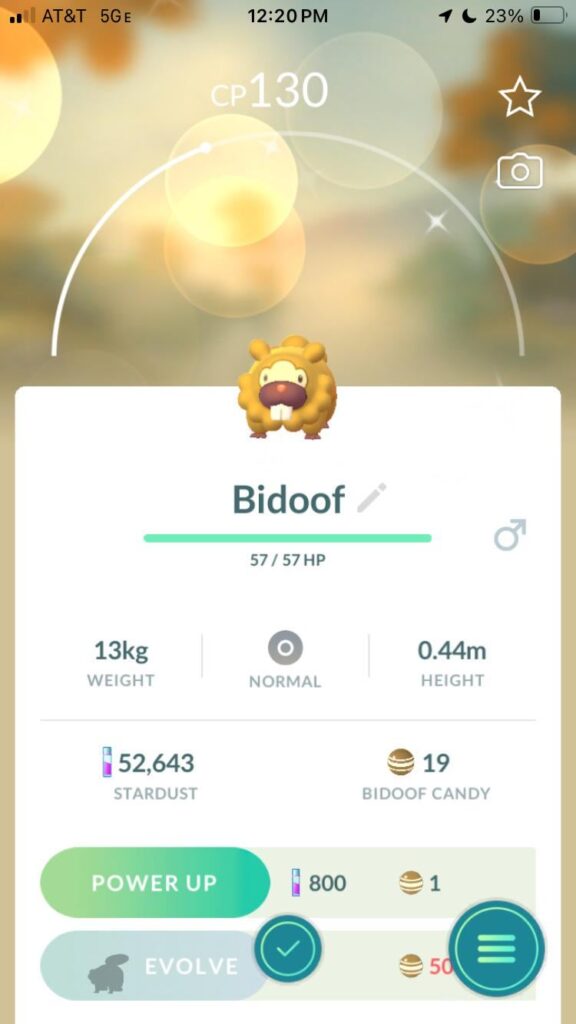 shiny bidoof for third shiny