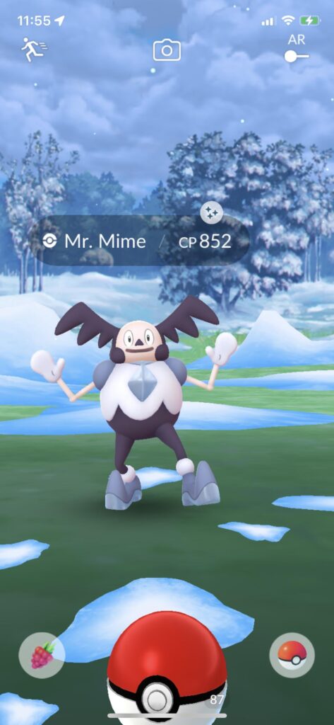 it looks the same as the normal pokemon