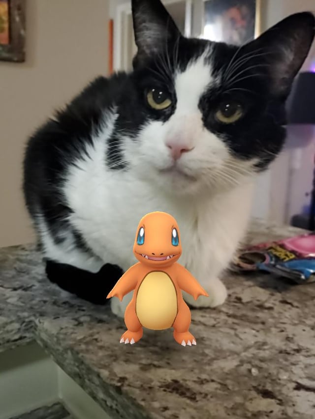 Anyone else still have their first pokemon?