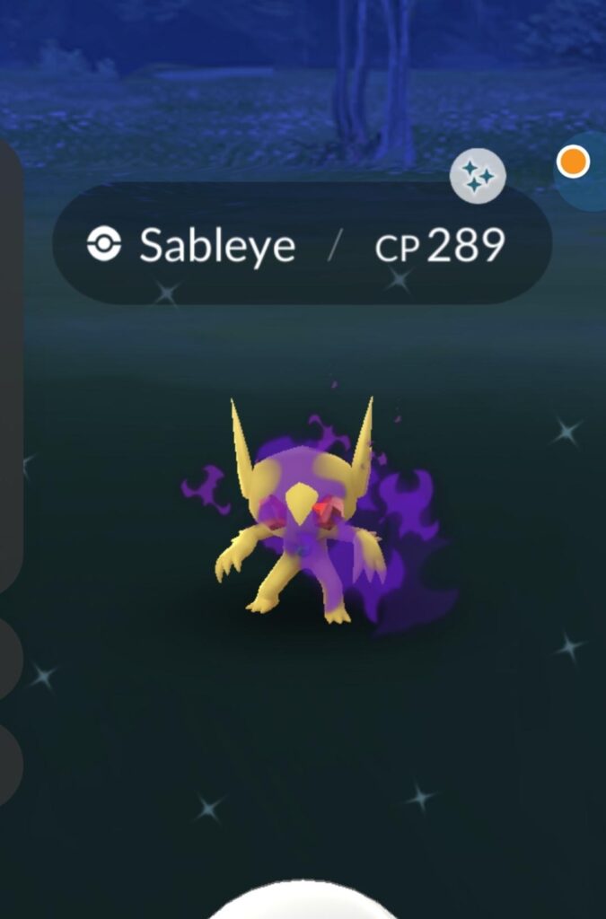 Shadow. Shiny....ssss