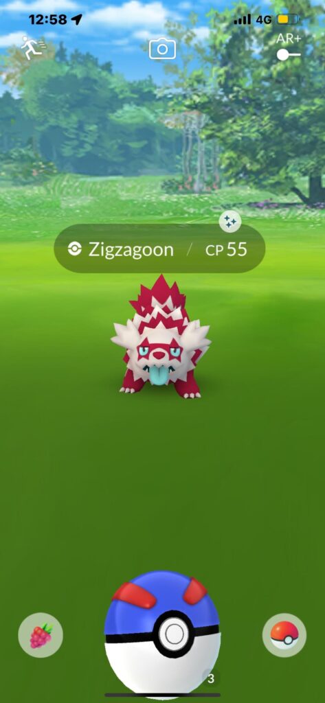 Back to back shiny galarian zigzagoon