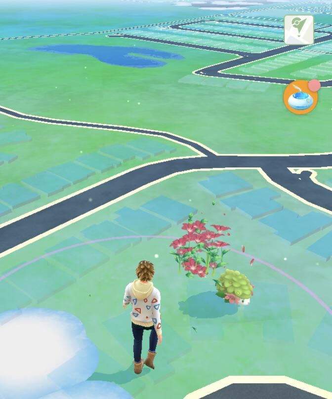 I just discovered Shaymin leaves a little flower trail and this makes me very happy. That is all.
